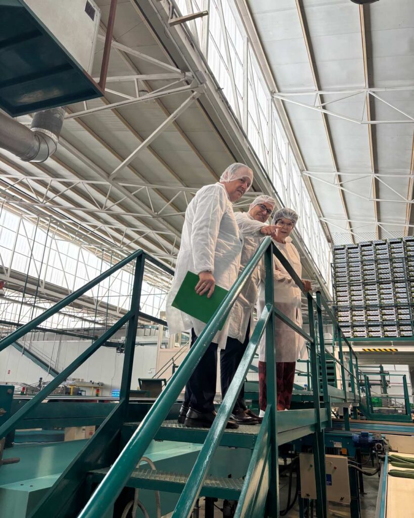 eurosol empresas